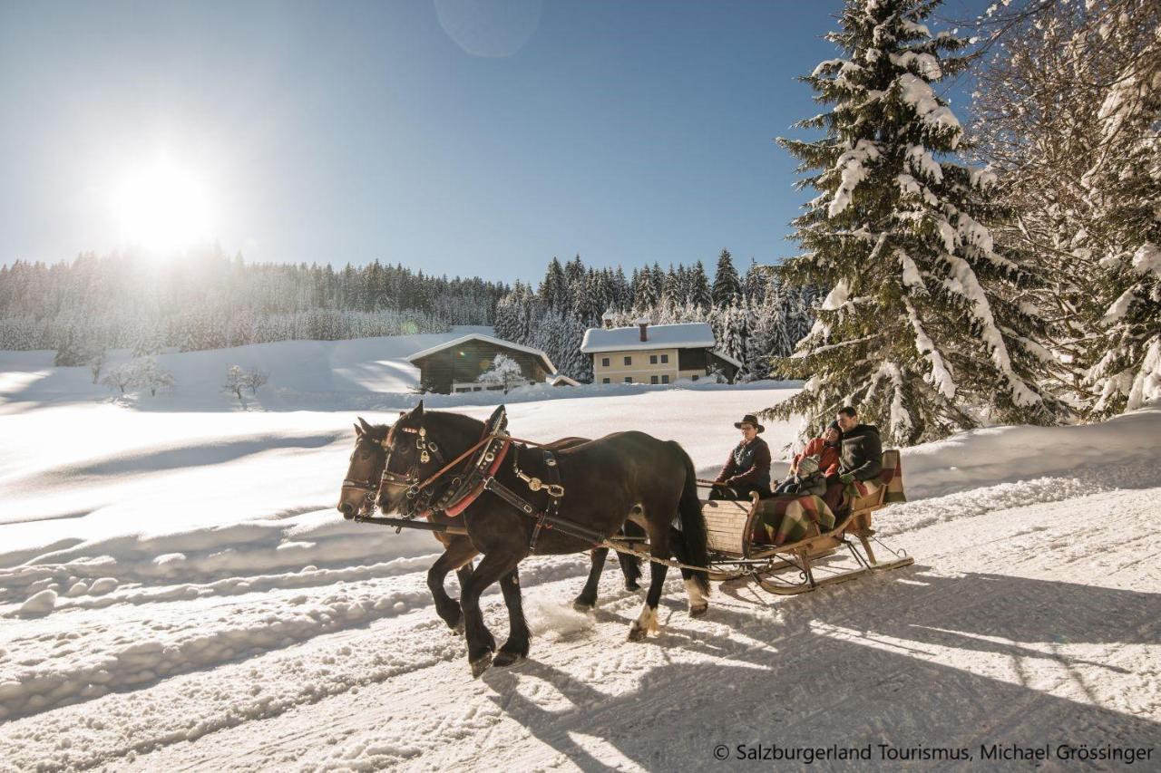 Hideaway Dachstein West By Alps Resorts Sankt Martin am Tennengebirge Exteriör bild